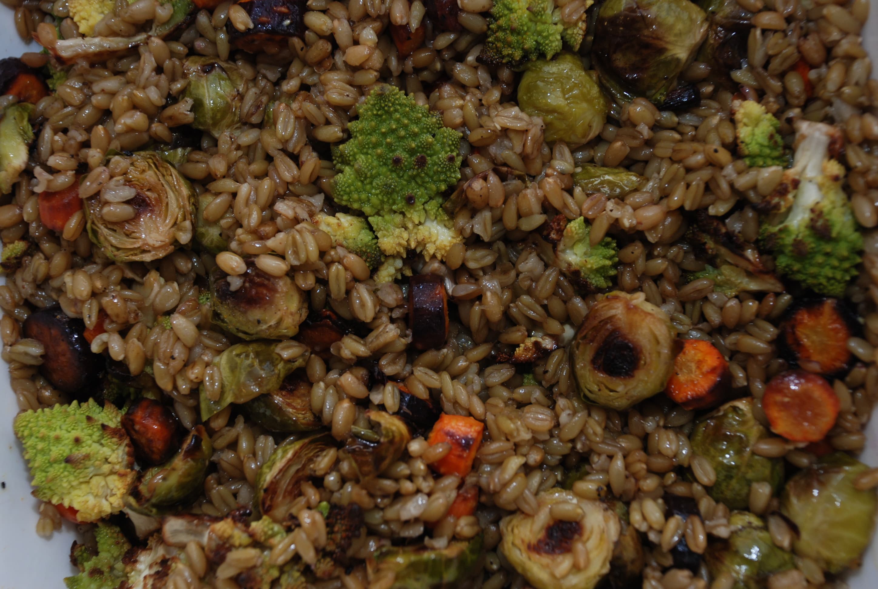 Freekeh — a palestinian main course dish from Palestine — featuring green wheat roasted, controlled fire technique, ancient Levantine