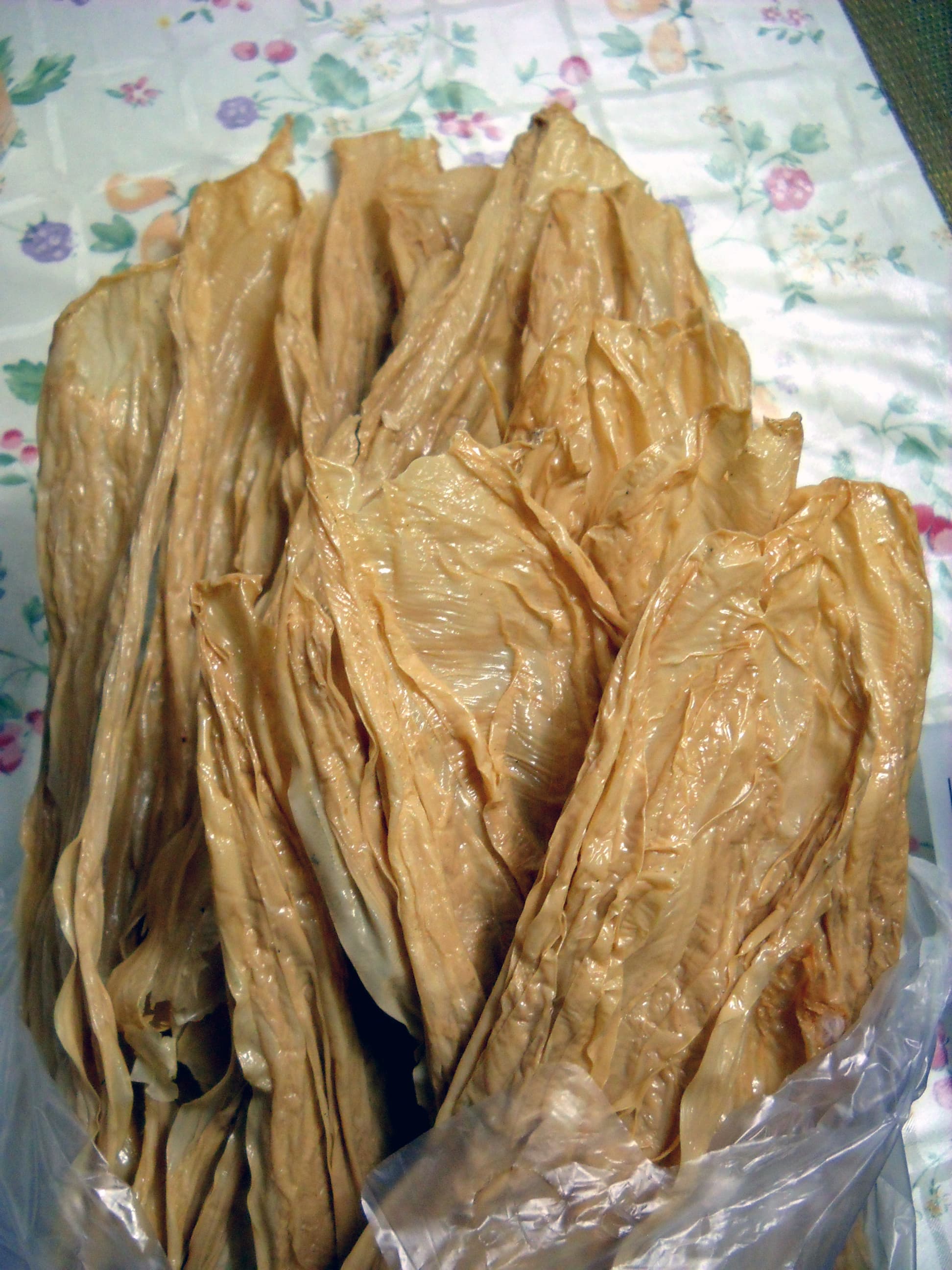 Tofu skin — a people's republic of china cuisine main course dish from People's Republic of China — featuring protein-lipid membrane, surface-collected, air-dried sheets