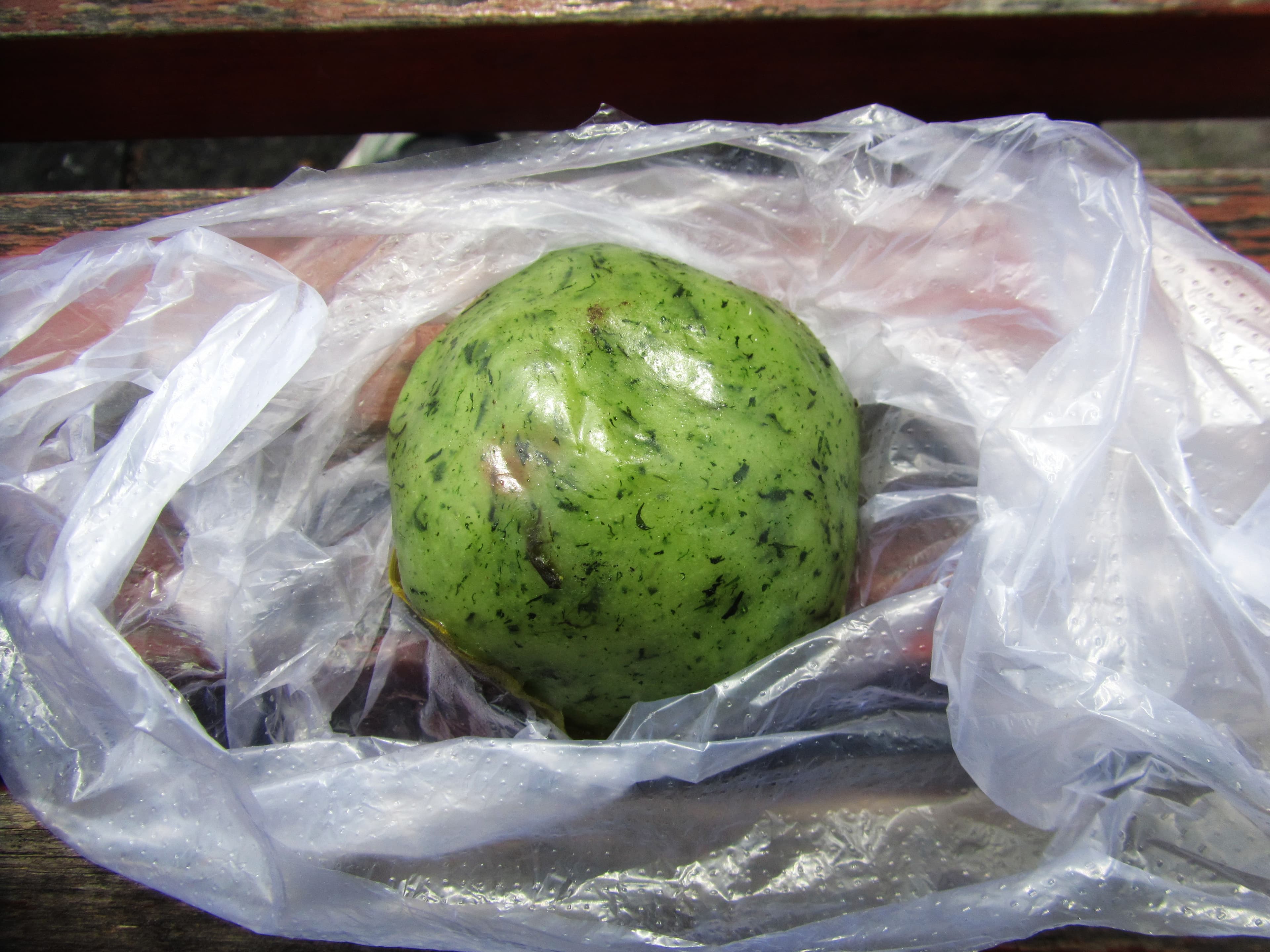 Qingtuan — a people's republic of china cuisine street food dish from People's Republic of China — featuring glutinous rice base, herb-infused, seasonal spring ingredient