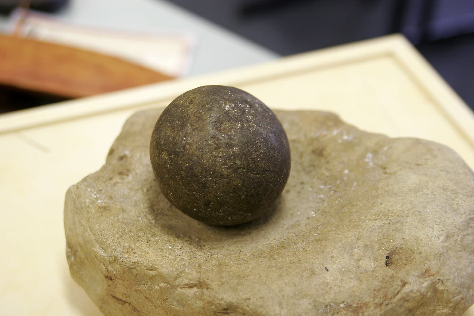 Bush bread — a australian main course dish from Australia — featuring seed-based, coal-fired, women-led communal work