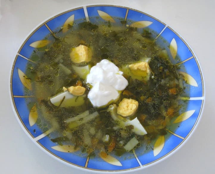 Sorrel soup — a eastern europe cuisine main course dish from Eastern Europe — featuring green broth, sour-forward, egg-enriched