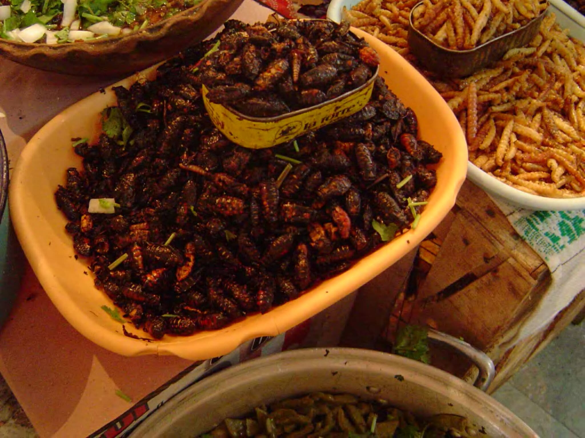 Chahuis — a mexican main course dish from Mexico — featuring seasonal beetle larvae, fried and roasted, comal-charred