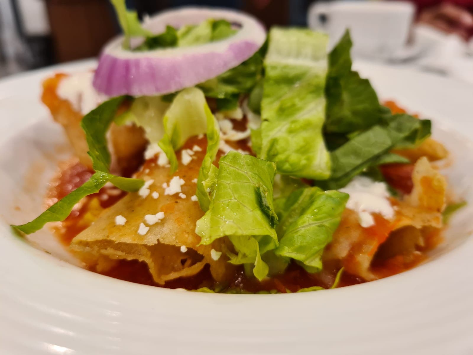 Entomatada — a mexican main course dish from Mexico — featuring fried-and-bathed, pressure-cooked meat, variable sauce