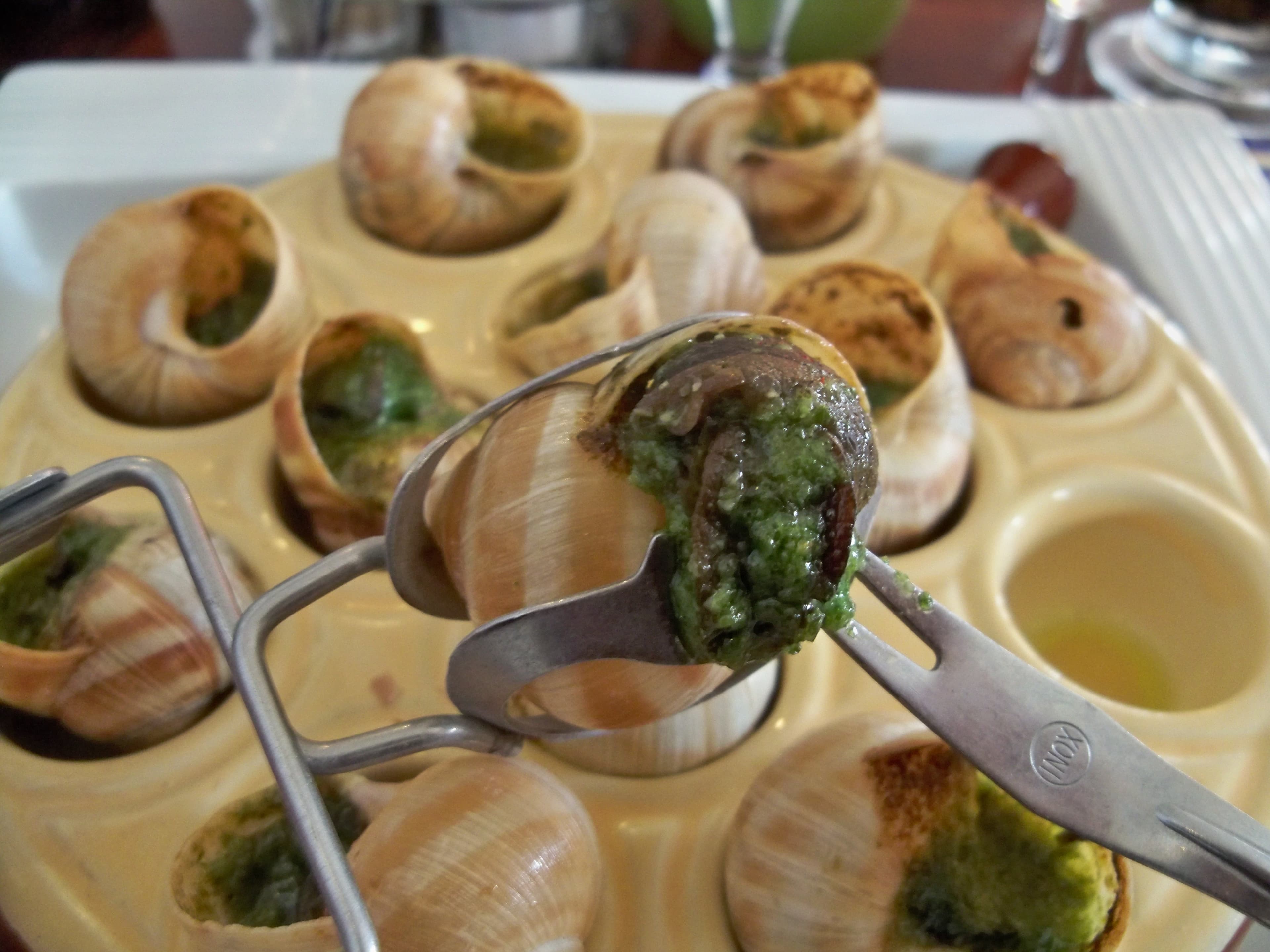 Snails as food — a moroccan main course dish from Morocco — featuring purged & fasted, seasonal tradition, farmed year-round